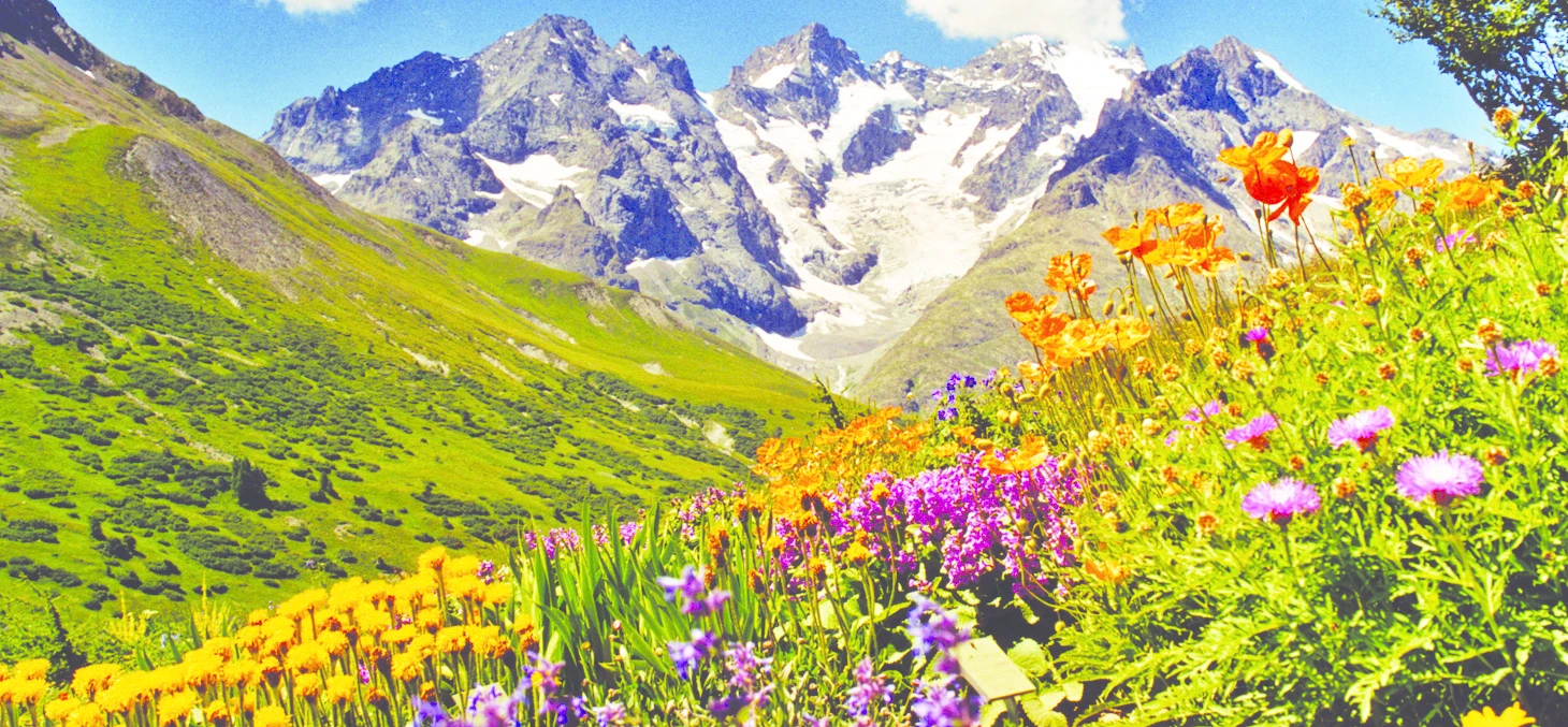 Jardin botanique alpin du Lautaret